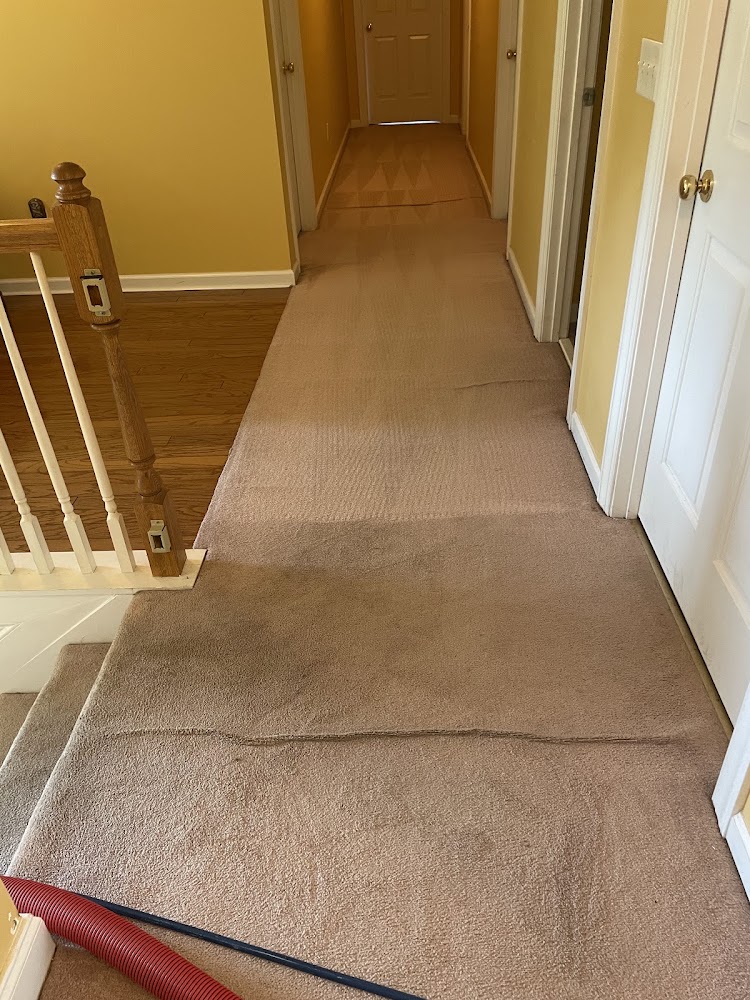 Carpet King of Columbia