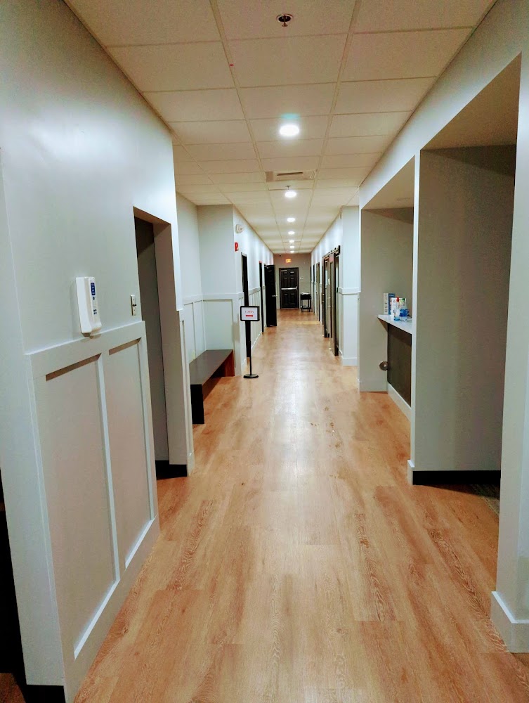 Palmetto Commercial Services