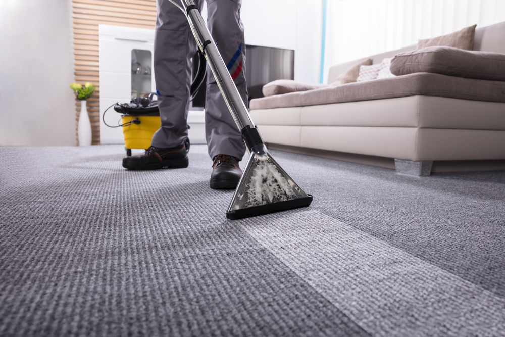 Carolina Rug and Upholstery Cleaning