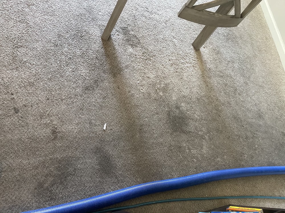 Desert Steam Carpet Cleaning