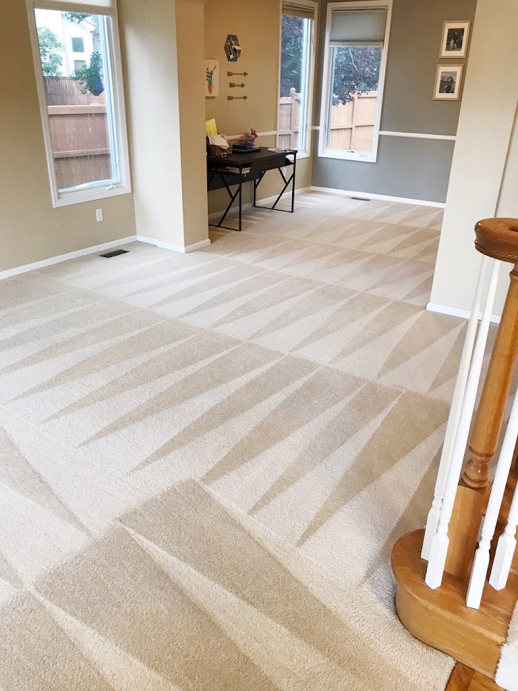 Palmetto Carpet and Tile Cleaners | Columbia Carpet Cleaners