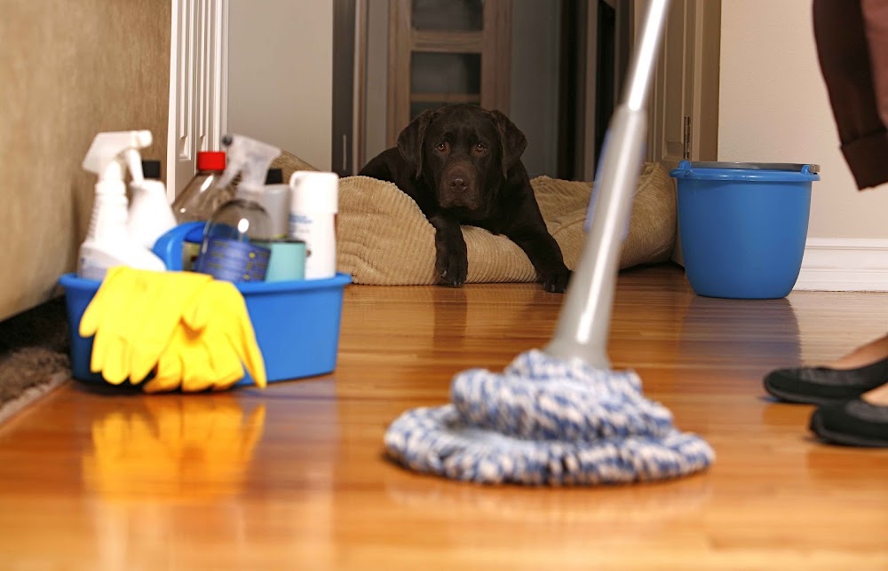 Back 2 New Cleaning Services, LLC