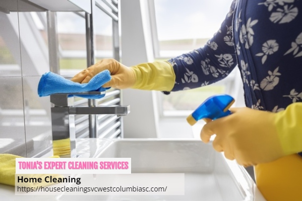 Tonia's Expert Cleaning Services