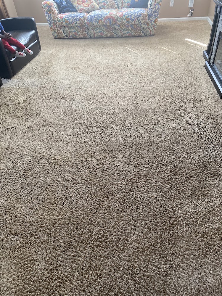 Safe-Dry Carpet Cleaning